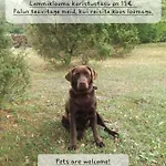 Lüks kamp alanı Jaagu Metsatelk *