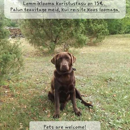 Lüks kamp alanı Jaagu Glaemping *