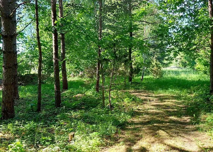 Luxury tent Jaagu Glaemping