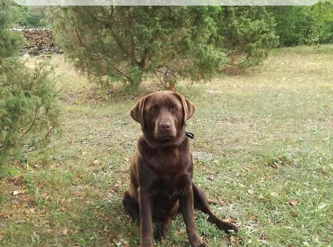 خيمة فخمة Jaagu Glaemping *